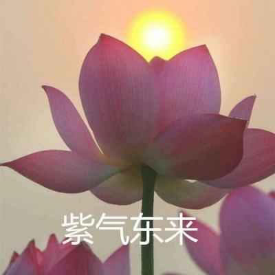 生化英雄手游九游版下载